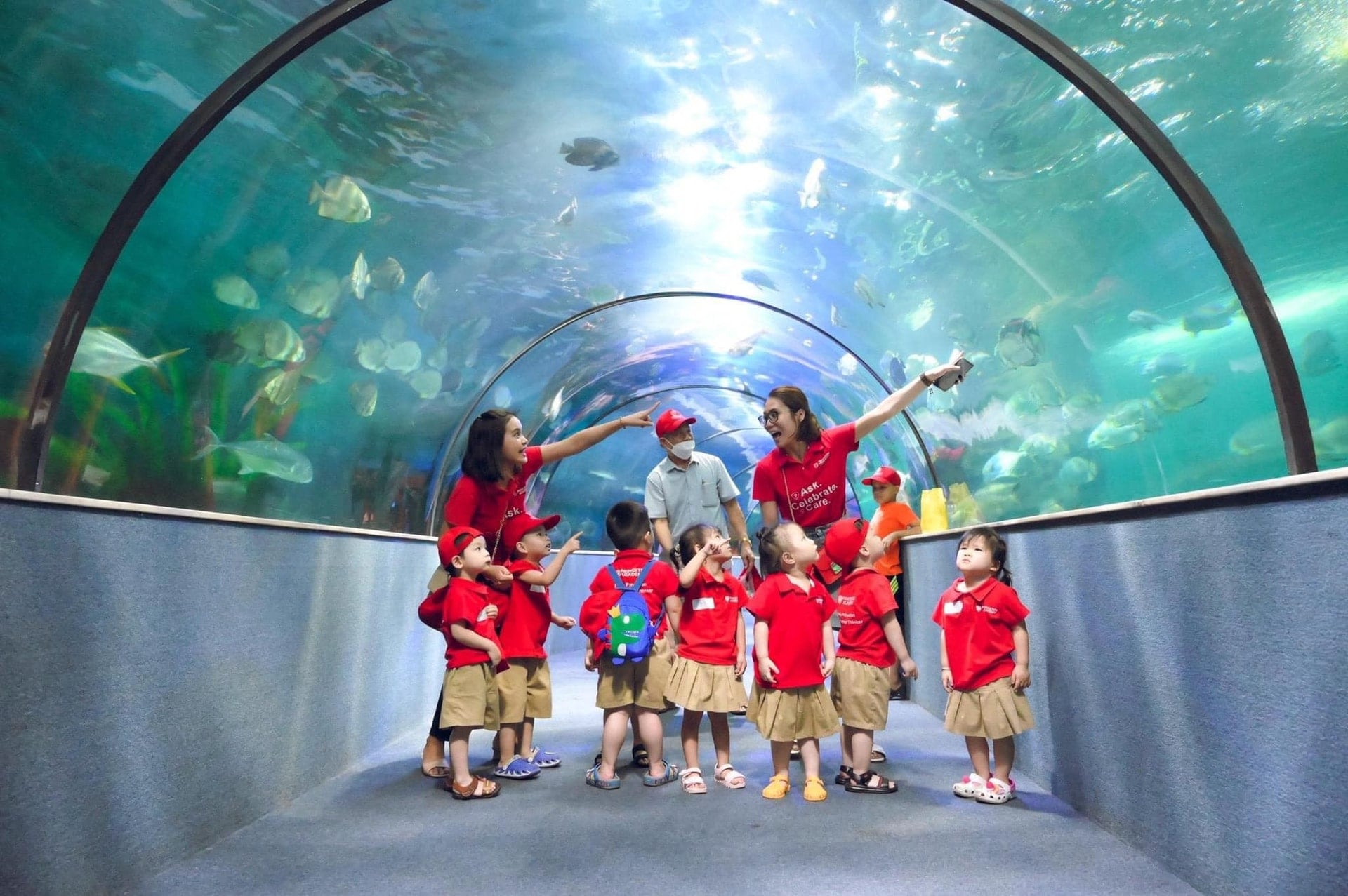 ស្វែងយល់ពីពិភពក្រោមទឹកនៅ Vinpearl Aquarium Times City។