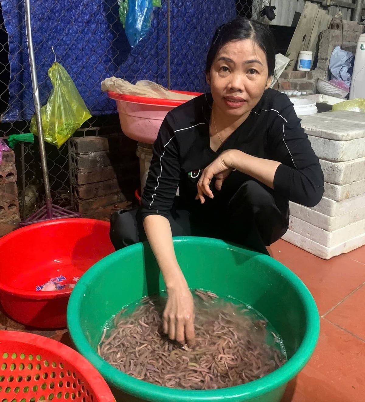 Fru Nguyen Thi Chau i Van Que-området tjänar över 150 miljoner VND årligen på att odla daggmaskar. Foto: Hong Ngat. Bà Nguyễn Thị Châu ở khu Vân Quế mỗi năm thu hơn 150 triệu đồng từ nuôi rươi. Ảnh: Hồng Ngát.