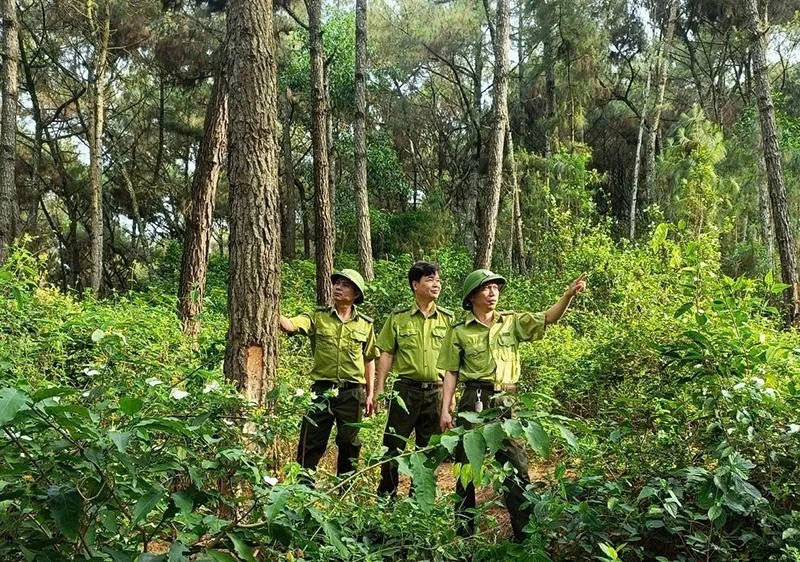 Ha Trung Forest Ranger Station strives to protect the forest.