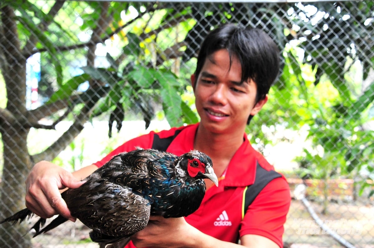 អ្នកស្រុកអនុវត្តការអនុវត្តជីវសុវត្ថិភាពក្នុងការចិញ្ចឹមសត្វ ដោយសម្អាតជង្រុករបស់ពួកគេជាប្រចាំ ដើម្បីផលិតផលិតផលដែលបំពេញតម្រូវការទីផ្សារ។ រូបថត៖ ឡេ ហ្វាងវូ។ Người dân áp dụng quy trình chăn nuôi an toàn sinh học, vệ sinh chuồng trại thường xuyên, tạo ra sản phẩm đáp ứng nhu cầu thị trường. Ảnh: Lê Hoàng Vũ.