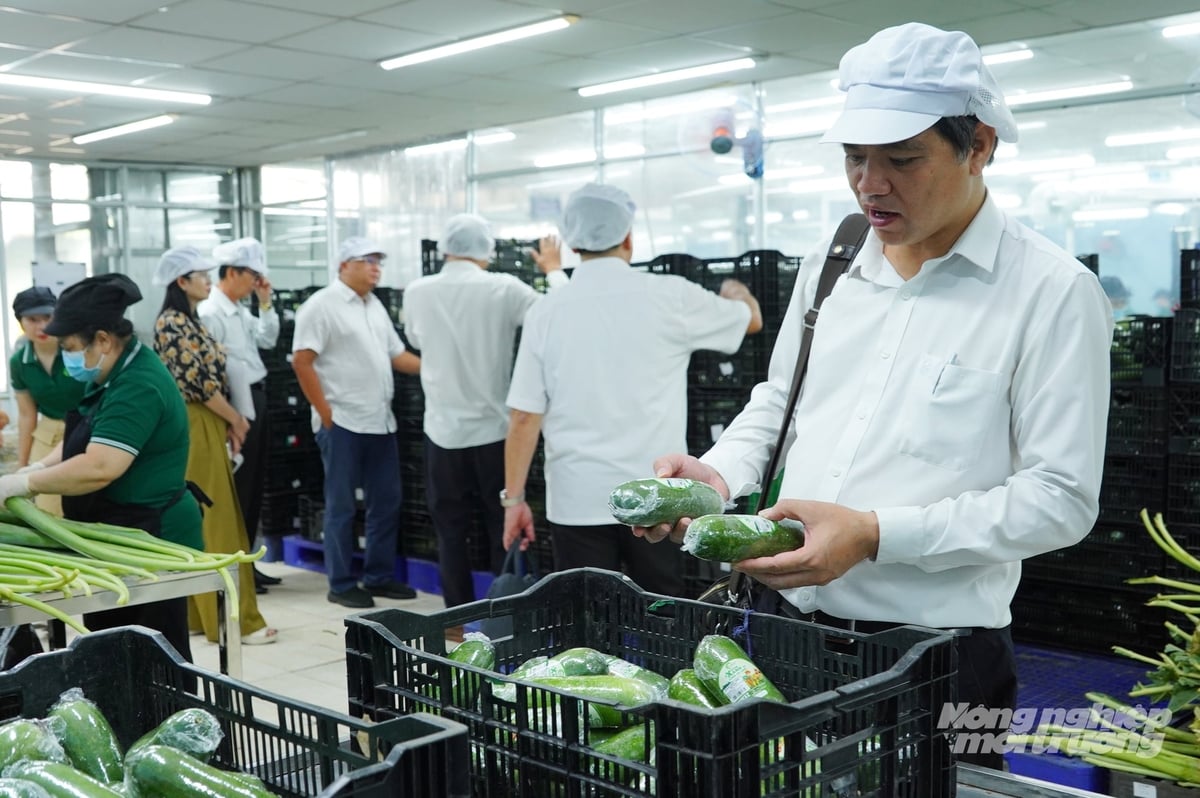  Đoàn công tác khảo sát cung ứng mặt hàng rau củ quả trên địa bàn TP.HCM. Ảnh: Nguyễn Thủy.
