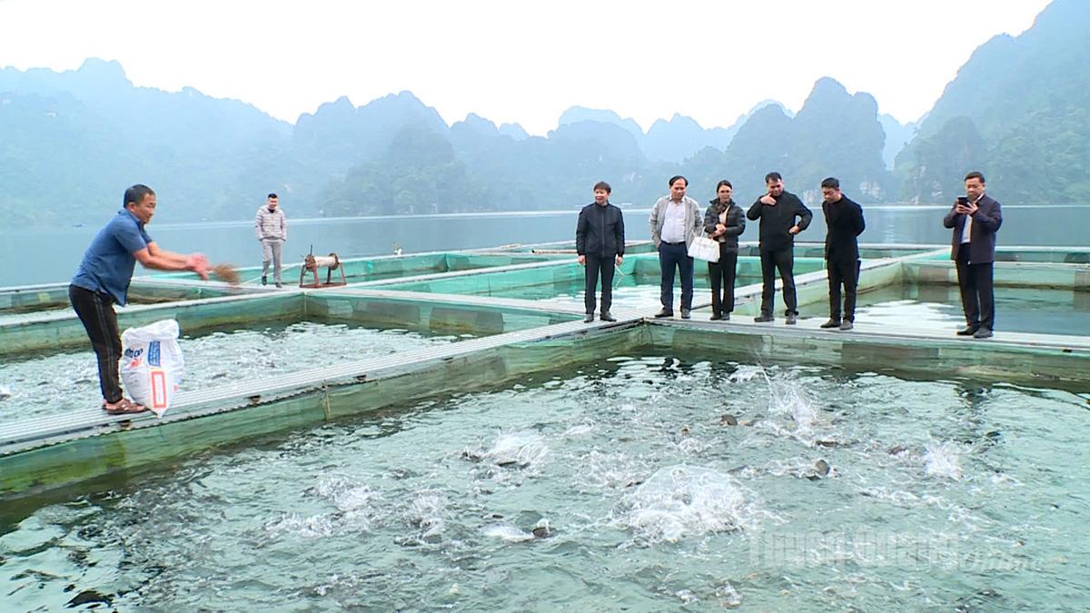 The establishment and operation of Public Service Centers helps ensure that activities at the grassroots level are carried out smoothly and without interruption (In the photo: A model of aquaculture in Na Hang commune).