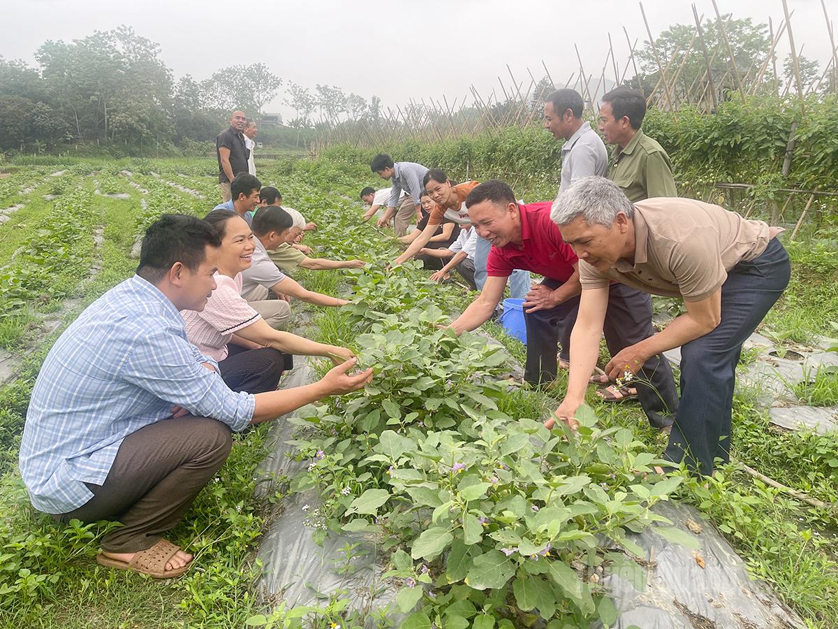 Agricultural extension officers during a field training session in Thai Hoa commune.