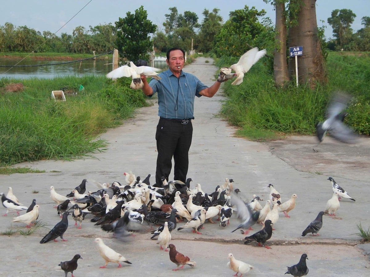 Chăn nuôi gắn với du lịch sinh thái tại xã An Khánh, khu vực ven đô Kiến An. Ảnh: Đinh Mười.