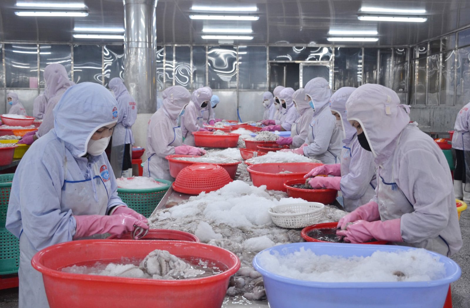 הרשויות המקומיות מפרסמות בדחיפות מדיניות שמטרתה להקל על הכשרה מקצועית מחדש של דייגים.