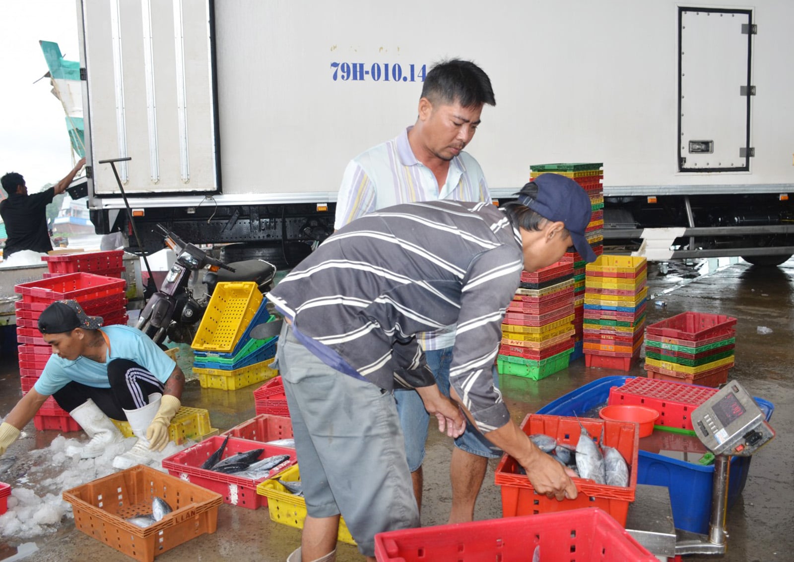 הרשויות המקומיות מפרסמות בדחיפות מדיניות שמטרתה להקל על הכשרה מקצועית מחדש של דייגים.