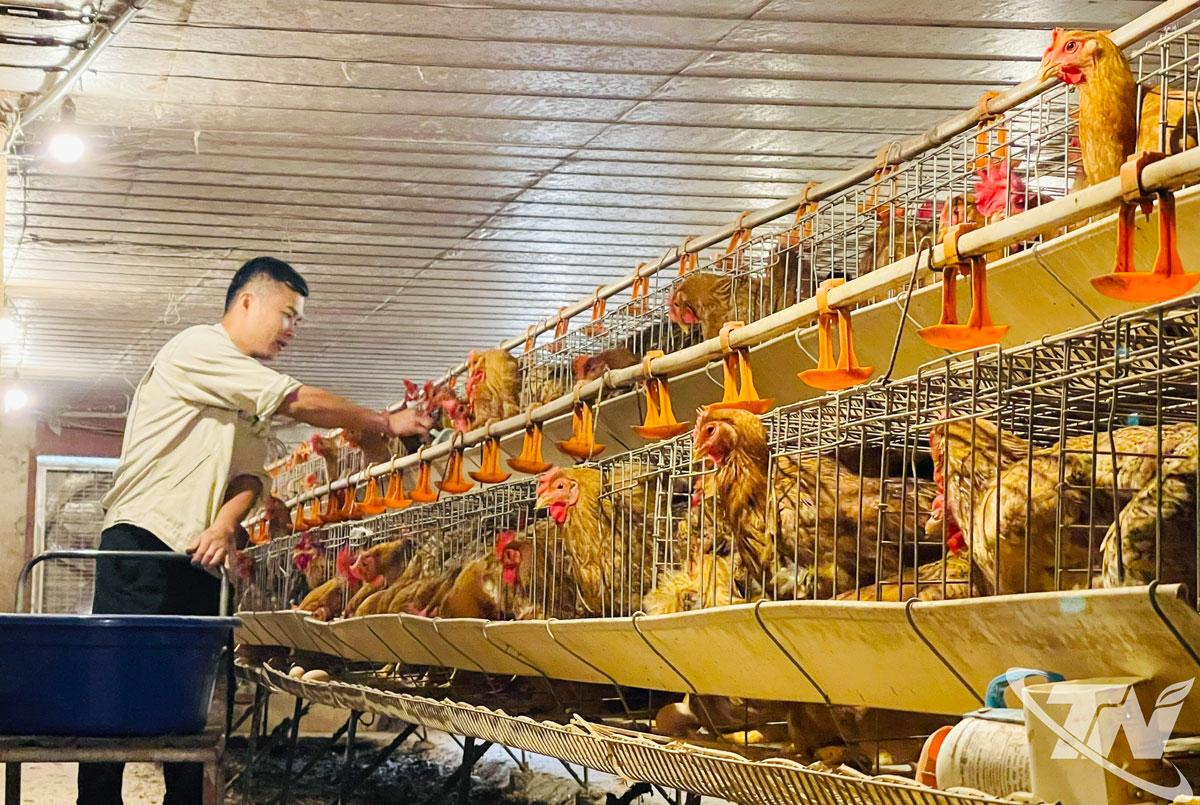បច្ចុប្បន្ននេះ ឃុំនេះមានគំរូសេដ្ឋកិច្ចកសិកម្ម និងគ្រួសារជាច្រើន ដែលរួមចំណែកដល់ការបង្កើតការងារ និងបង្កើនប្រាក់ចំណូលសម្រាប់ប្រជាជន។
