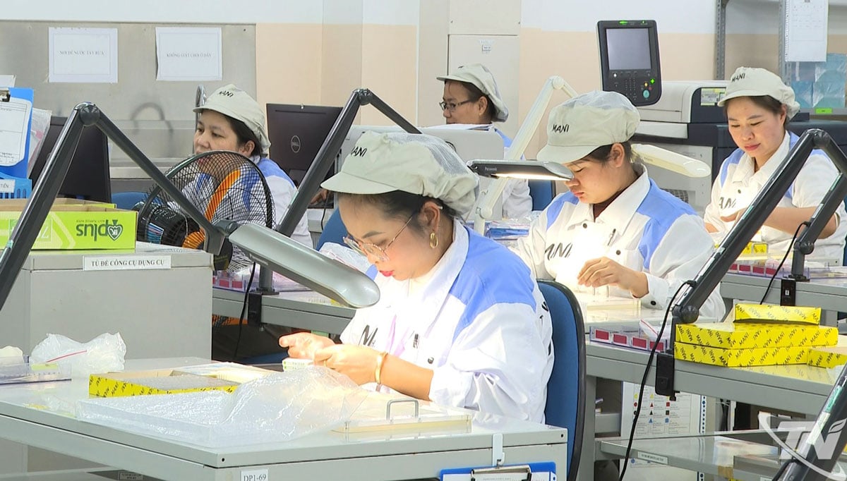 ຂະແໜງທຸລະກິດການລົງທຶນໂດຍກົງຈາກຕ່າງປະເທດ (FDI)