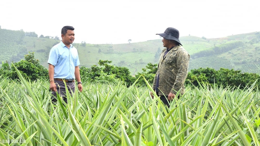 ឃុំគួយពុយ