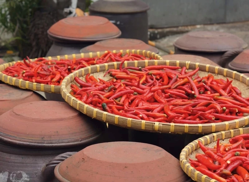ឆ្នាំដំណាំរដូវរងា ២០២៥-២០២៦៖ ឱកាស និងបញ្ហាប្រឈមជាច្រើន (ផ្នែកទី ២)៖ តម្លៃកសិកម្មកើនឡើងខ្ពស់ និងសម្ពាធក្នុងការគ្រប់គ្រងខ្សែសង្វាក់ផ្គត់ផ្គង់