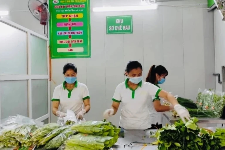 ឆ្នាំដំណាំរដូវរងា ២០២៥-២០២៦៖ ឱកាស និងបញ្ហាប្រឈមជាច្រើន (ផ្នែកទី ២)៖ តម្លៃកសិកម្មកើនឡើងខ្ពស់ និងសម្ពាធក្នុងការគ្រប់គ្រងខ្សែសង្វាក់ផ្គត់ផ្គង់