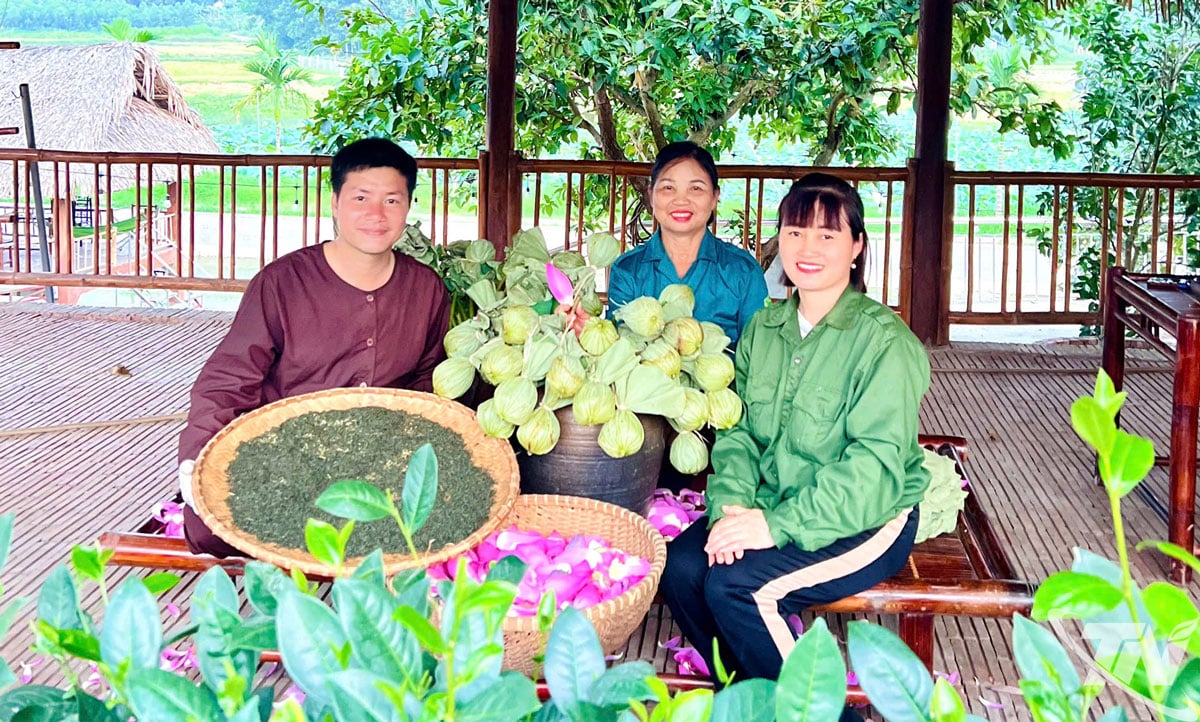 លោក ឡេ សឺនហៃ រៀបចំតែផ្កាឈូកយ៉ាងយកចិត្តទុកដាក់ ដោយទាញយកសារធាតុសុទ្ធនៃផ្កាឈូក ដោយចាក់ចេញពីបេះដូង និងព្រលឹងរបស់គាត់ចូលទៅក្នុងតែនីមួយៗ។