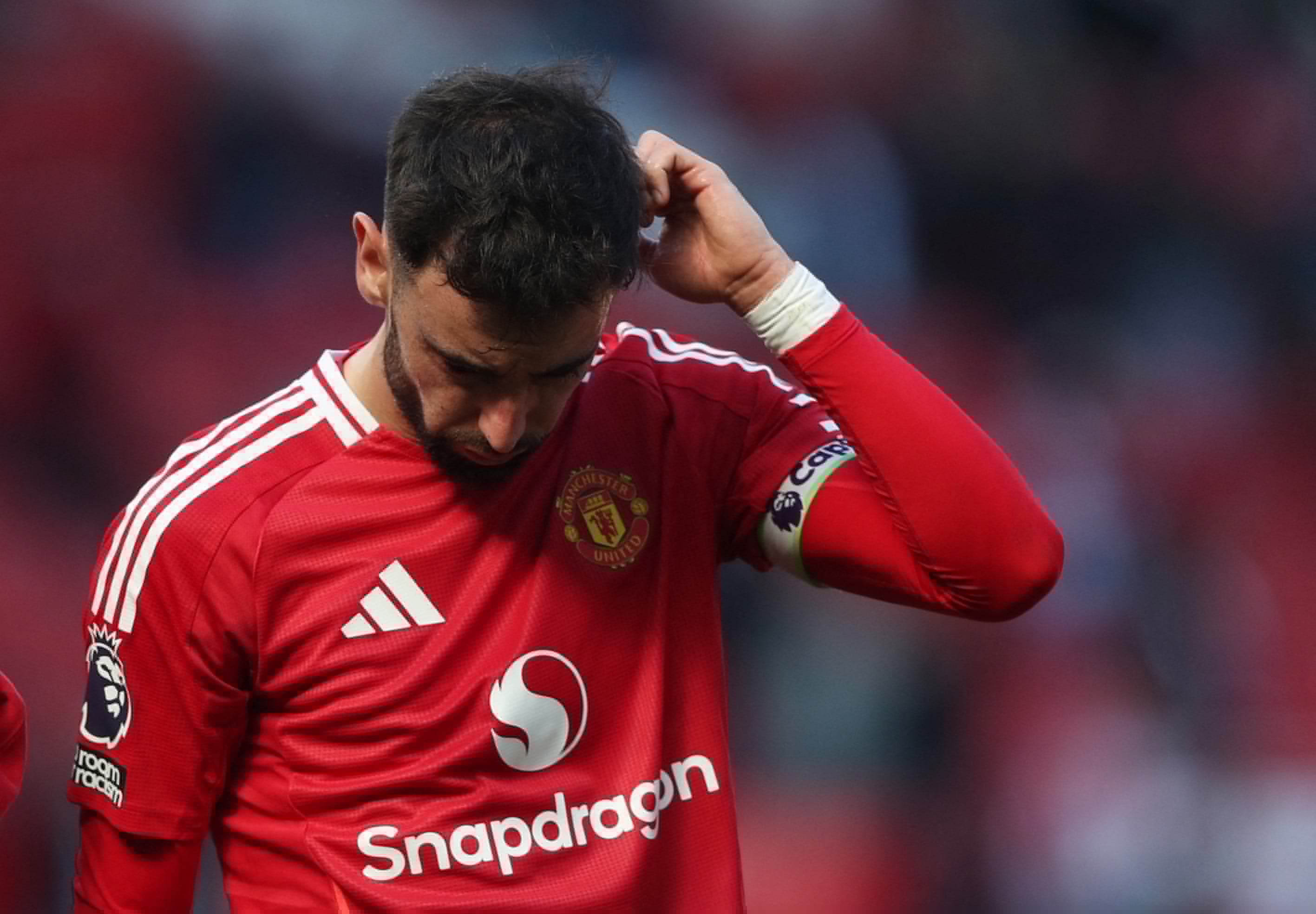 ব্রুনোর ছবি ১ Bruno anh 1