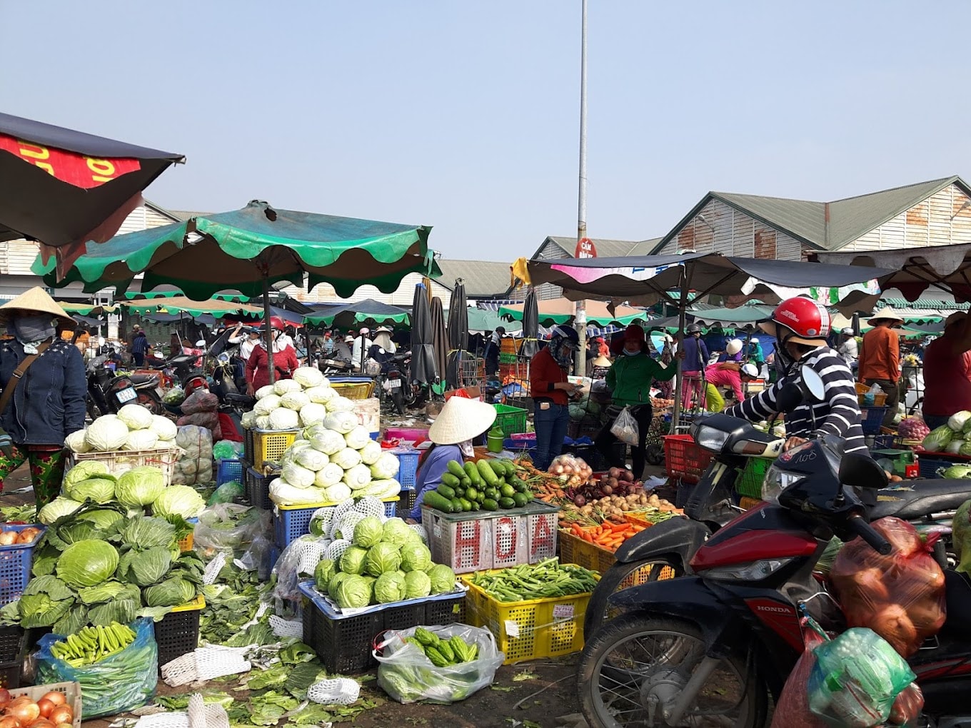 តម្លៃបន្លែនៅទីក្រុងហូជីមិញកំពុងមាននិន្នាការធ្លាក់ចុះ ខណៈដែលតម្លៃម្ទេសស្រស់កំពុងកើនឡើងយ៉ាងខ្លាំងដោយសារតែការផ្គត់ផ្គង់មានកម្រិត។