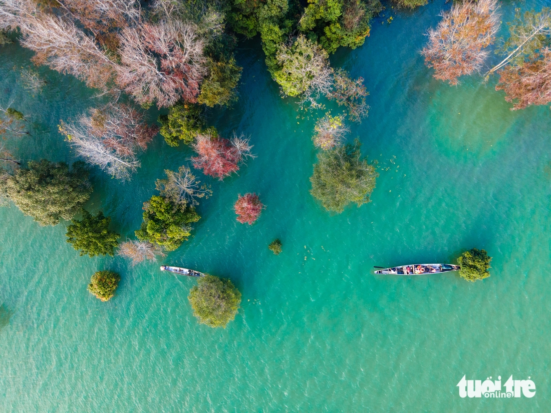 phong hương - Ảnh 1.