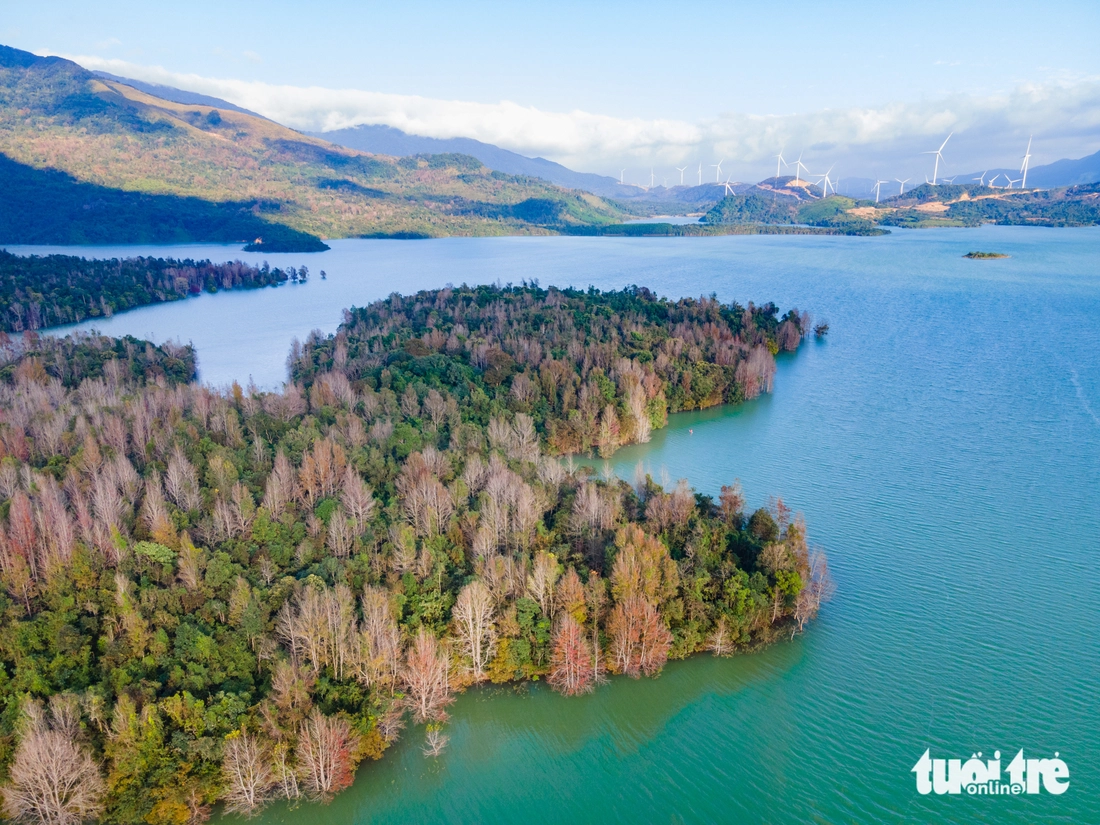 phong hương - Ảnh 8.