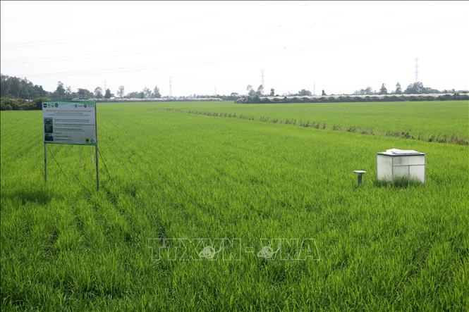 ចំណងជើងរូបថត