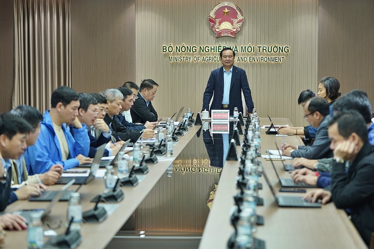 Thứ trưởng Võ Văn Hưng chủ trì cuộc họp với Cục Chuyển đổi số. Ảnh: Bảo Thắng.