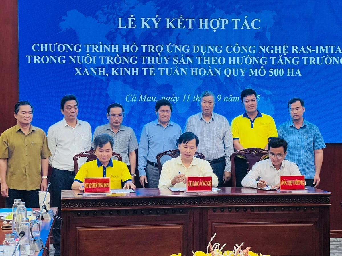 Tỉnh Cà Mau không ngừng kêu gọi đầu tư và xây dựng các chuỗi liên kết. Ảnh: Trọng Linh.