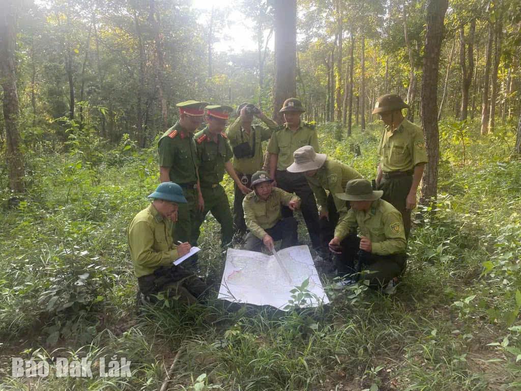เจ้าหน้าที่กำลังประสานงานลาดตระเวนและตรวจสอบเพื่อปกป้องป่าไม้
