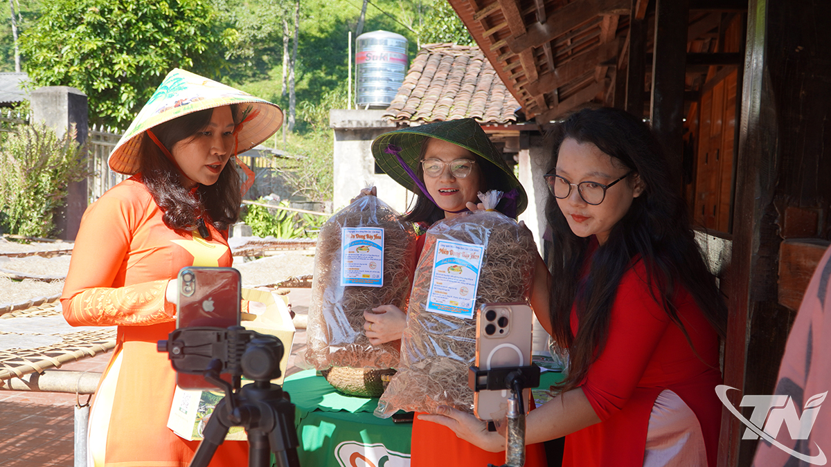 ថ្នាក់បណ្តុះបណ្តាលលក់តាមអ៊ីនធឺណិតសម្រាប់ភូមិធ្វើមី Con Minh។ រូបថត៖ Thai Son