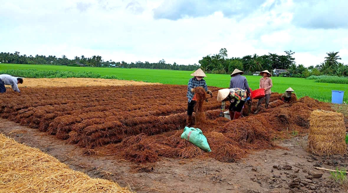 Cơ giới hóa rơm rạ, biến phụ phẩm thành tài nguyên xanh