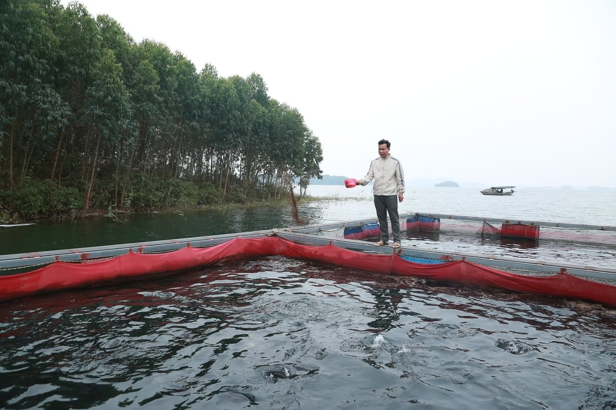 タックバ湖周辺地域に住む多くの世帯は、高収入をもたらす養殖モデルを開発する機会を活用することを学んできた。写真：タン・ンガ