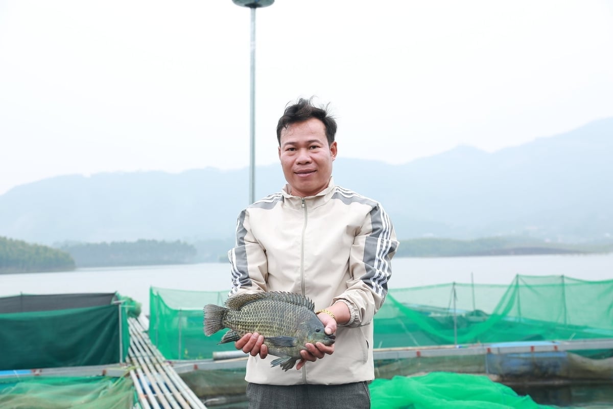 10以上の養魚場を所有するタン氏の家族は、毎年数億ドンの収入を得ている。写真：タン・ンガ