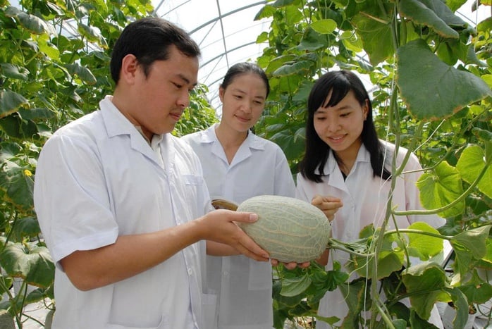 Giáo dục – Nền tảng cốt lõi để thoát nghèo ở ĐBSCL - Ảnh 2.