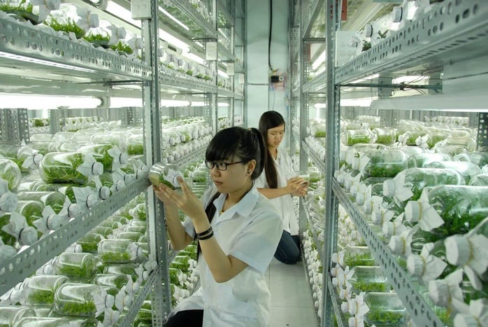 Giáo dục – Nền tảng cốt lõi để thoát nghèo ở ĐBSCL - Ảnh 3.