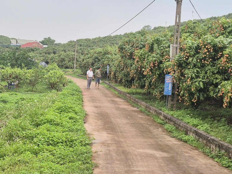 Nông dân Bắc Ninh làm chủ kỹ thuật, chung sức dựng xây nông thôn mới- Ảnh 2.