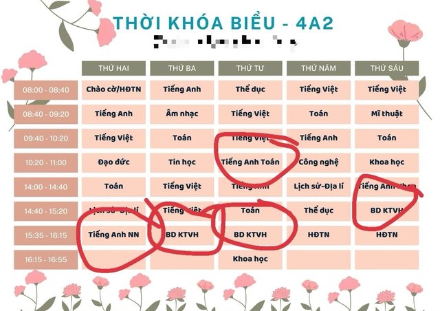 Yêu cầu rà soát việc dạy học liên kết trong các trường công lập   - Ảnh 1.