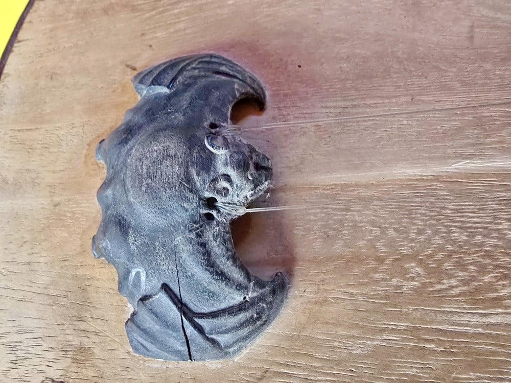 A unique collection of items used in the spirit medium ritual - photo 8
