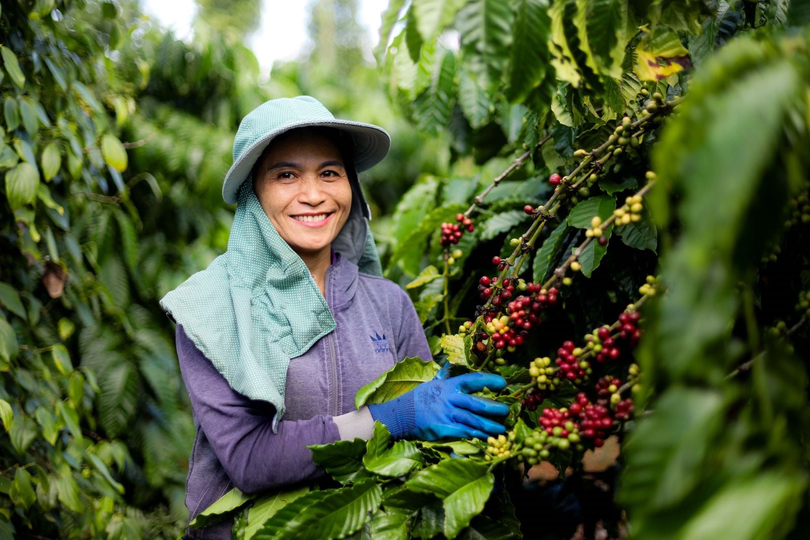 写真のキャプション