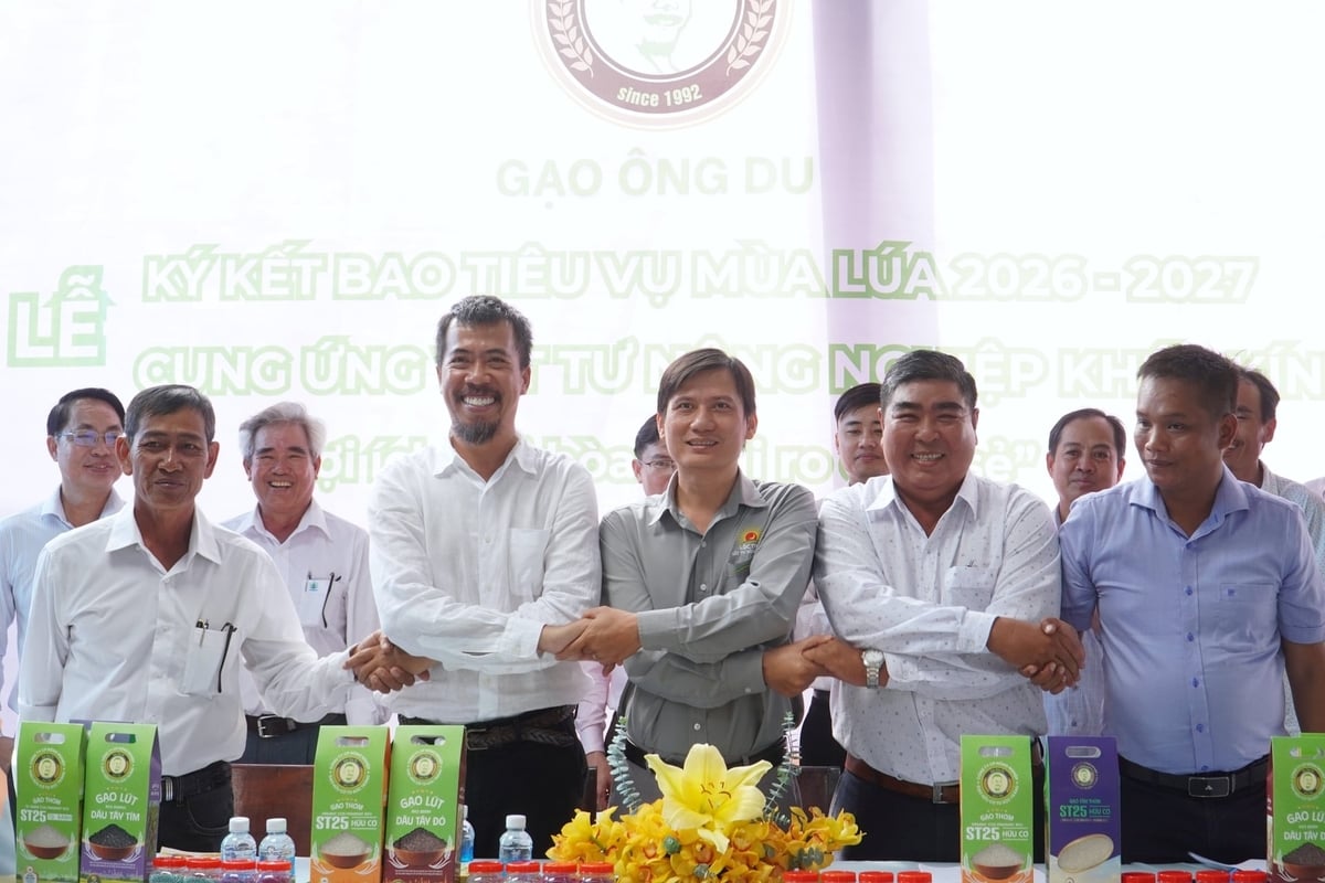 Một số tổ hợp tác, hợp tác xã của TP Cần Thơ ký kết bao tiêu lúa giai đoạn 2026 - 2027 cùng Gạo Ông Du. Ảnh: Kim Anh.