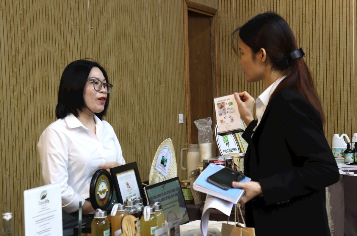 Đà Nẵng: Các cơ sở kinh doanh dịch vụ du lịch cần chú trọng bảo vệ môi trường - Ảnh 2.