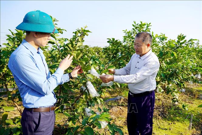 ចំណងជើងរូបថត