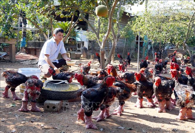 ចំណងជើងរូបថត