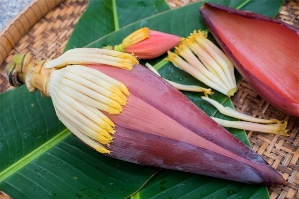 តើផ្កាចេកមានប្រយោជន៍អ្វីខ្លះ? - រូបថតទី 1។ hoa-chuoi