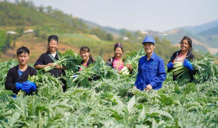WHO thúc đẩy hội nhập y học cổ truyền vào hệ thống y tế toàn cầu- Ảnh 2.