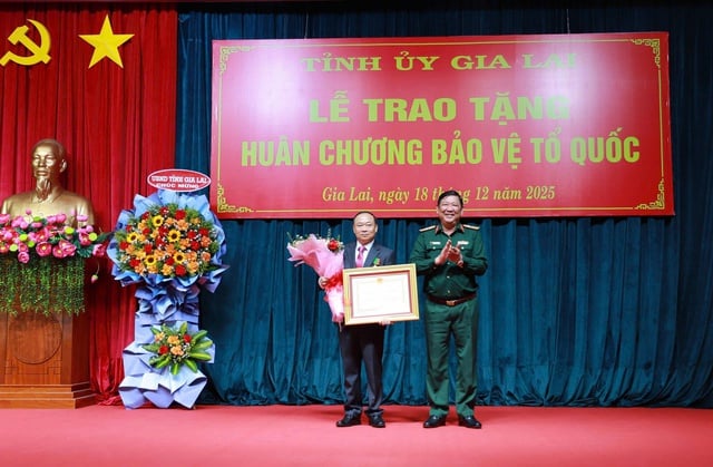Bí thư Tỉnh ủy Gia Lai nhận Huân chương Bảo vệ Tổ quốc - Ảnh 1.