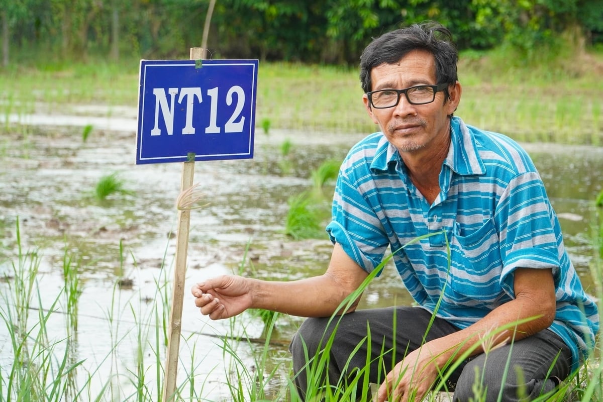 Nông dân Hoa Sỹ Hiền - người sở hữu 63 giống lúa, phục vụ sản xuất và nghiên cứu khoa học. Ảnh: Kim Anh.