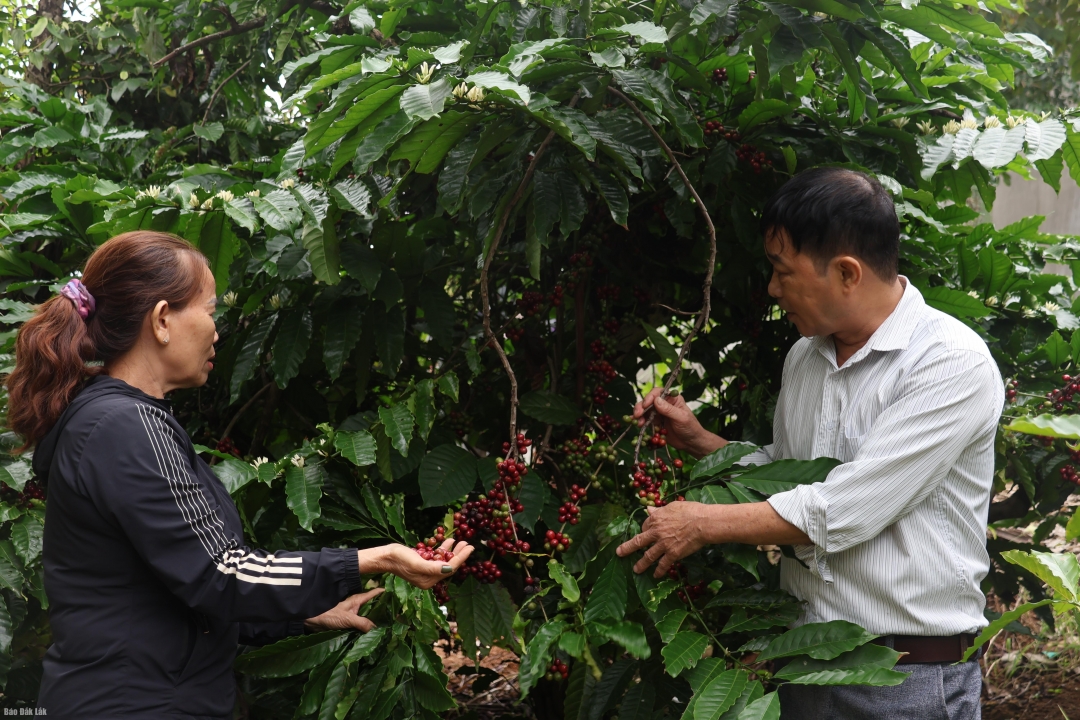 ហួង ង៉ុក ជុង