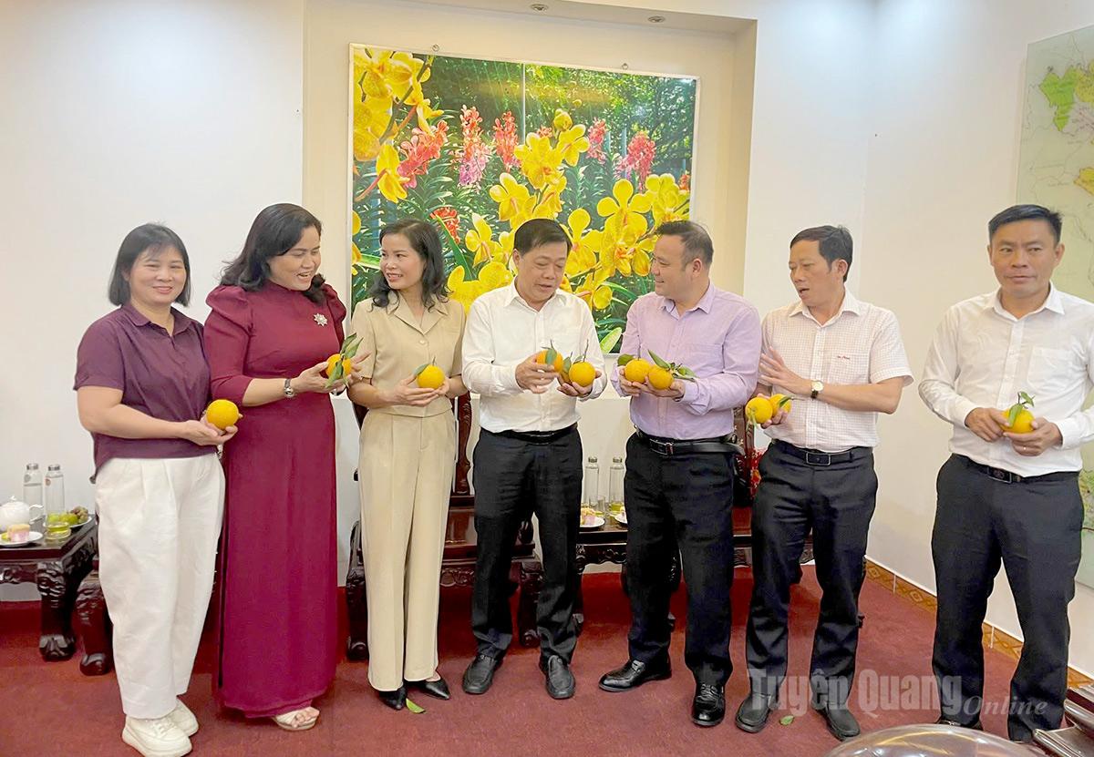 សមាគមកសិករខេត្តបានណែនាំផលិតផល OCOP ពីខេត្ត Tuyen Quang នៅក្នុងកិច្ចប្រជុំការងារ។