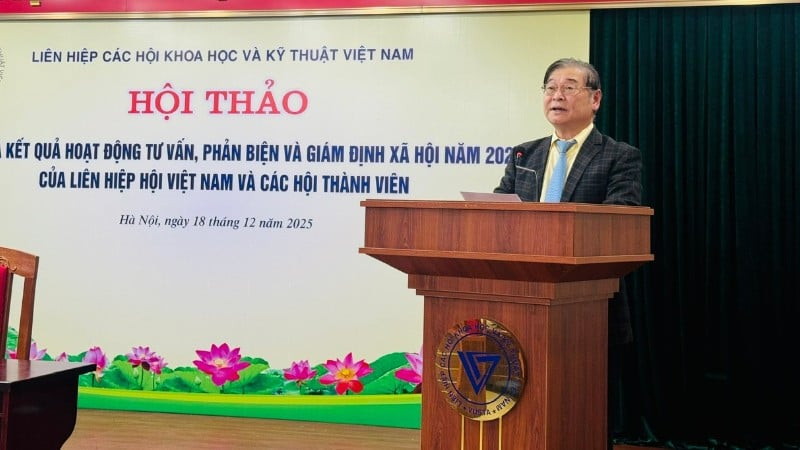 លោកបណ្ឌិត ផាន់ សួនយុង ប្រធានសហភាពសមាគមវៀតណាម ថ្លែងសុន្ទរកថានៅក្នុងសន្និសីទ។ (រូបថត៖ ប៊ីច លៀន)