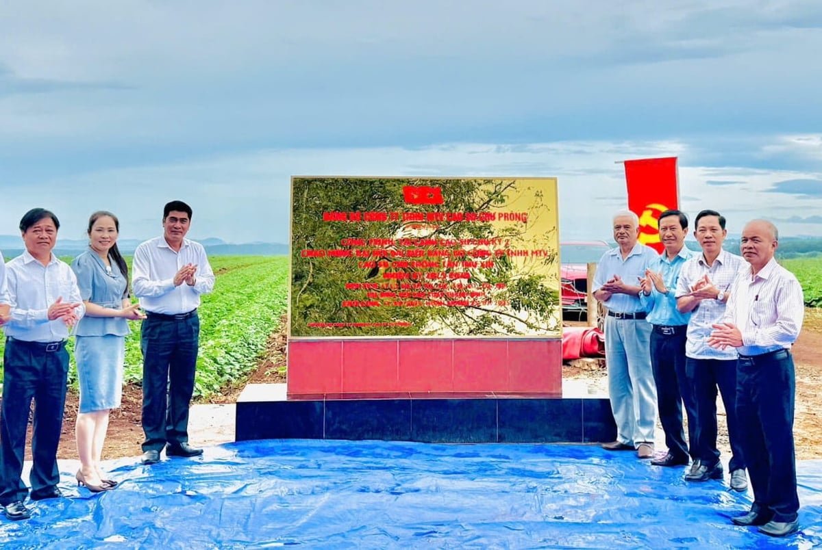 The project bears the sign Công trình được gắn biển có tên 'Công trình vườn cây tái canh đảm bảo mật độ đồng đều và mật độ cây đưa vào khai thác đạt tỷ lệ cao' của Cao su Chư Prông. Ảnh: VRG.