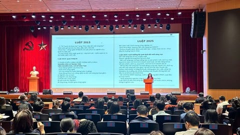 Министерство культуры, спорта и туризма: Обучение по вопросам науки, техники и инноваций в 2025 году.