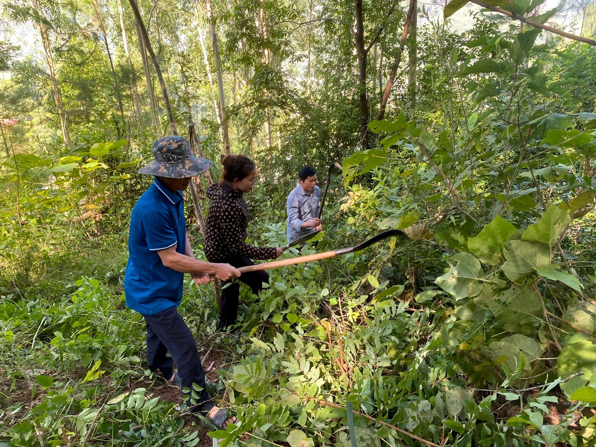 Thành viên Tổ chuyên trách quản lý bảo vệ rừng bản Nà Đình (xã Mường Kim) phát dọn thực bì bảo vệ rừng. 