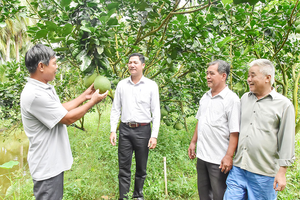 Green-skinned pomelo is one of eight products included in the project's value chain upgrade plan.