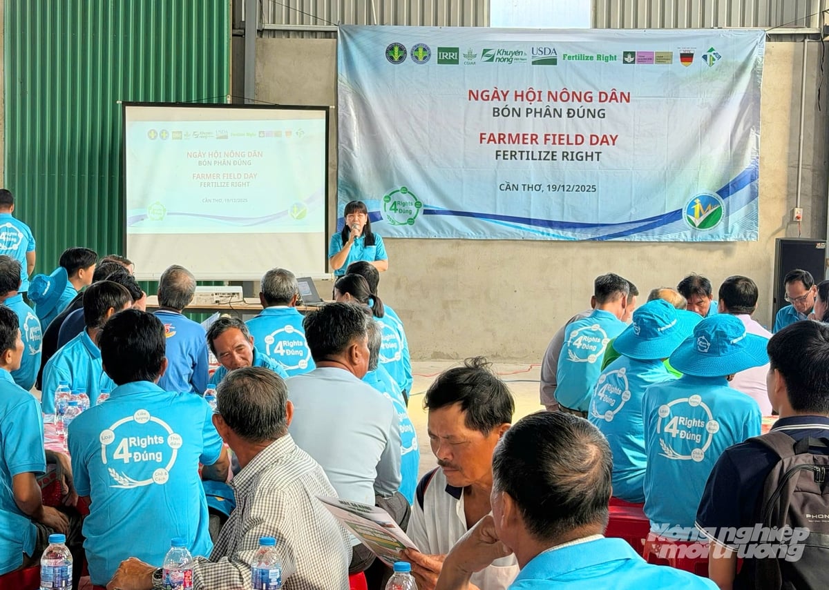 Ngày hội 'Nông dân bón phân đúng' theo Quy trình canh tác của Đề án 1 triệu ha lúa chất lượng cao, phát thải thấp' do Sở Nông nghiệp và Môi trường TP Cần Thơ phối hợp với IRRI tổ chức tại HTX nông nghiệp Thuận Lợi, xã Xà Phiên. Ảnh: Lê Hoàng Vũ.